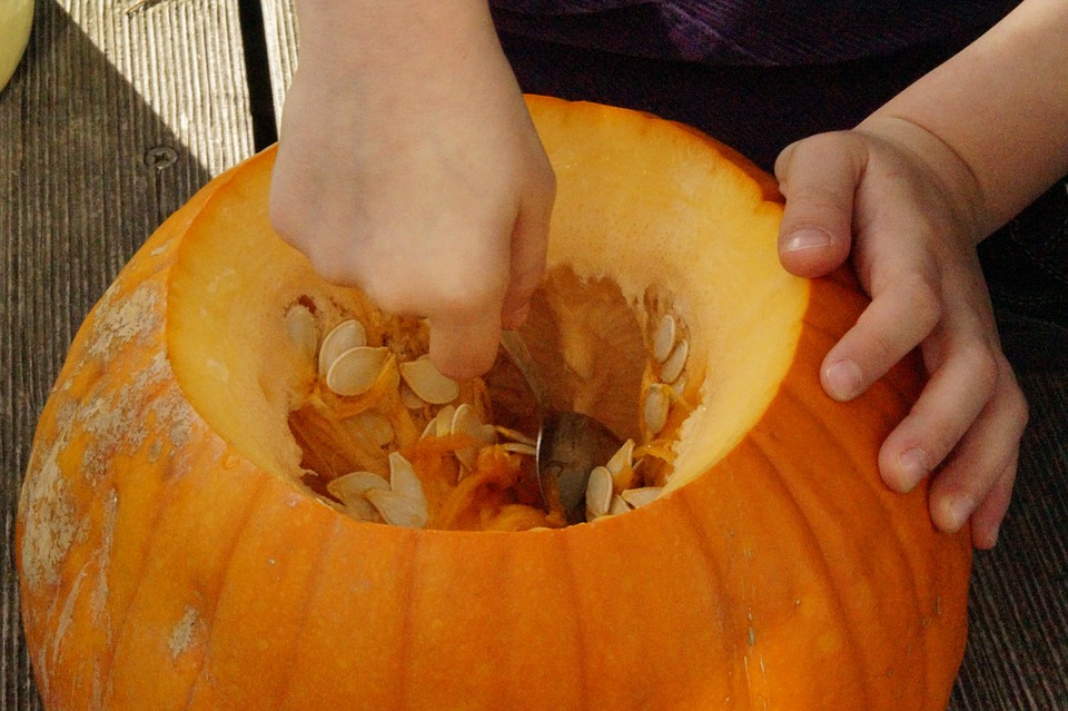 pumpkin-201102_960_720.jpg