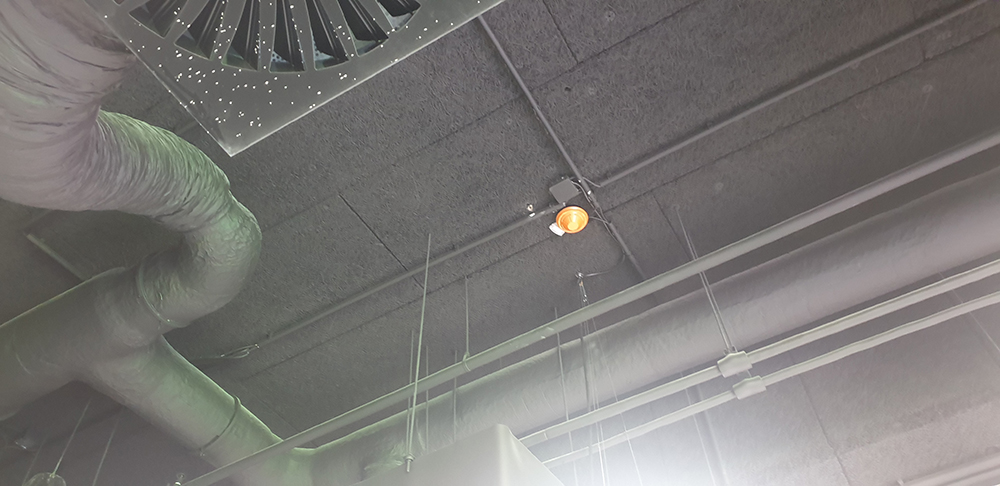 20190930_141619.jpg