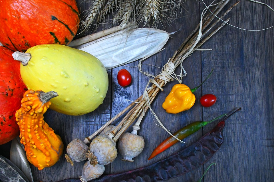 autumn-still-life-3682443_960_720.jpg