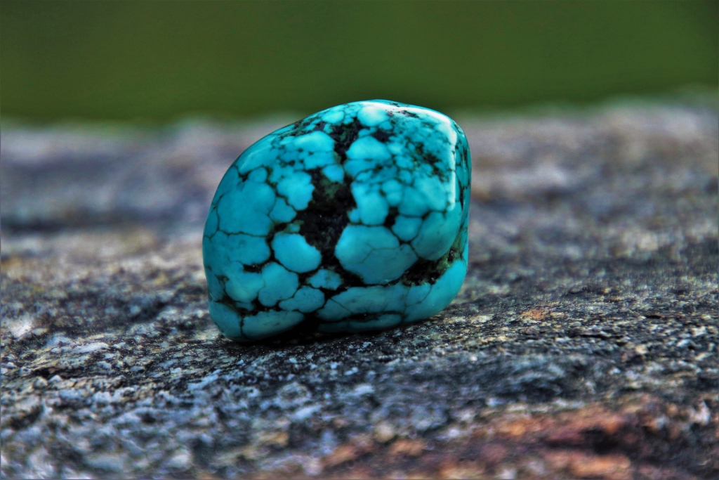turquoise-3388145_1920.jpg