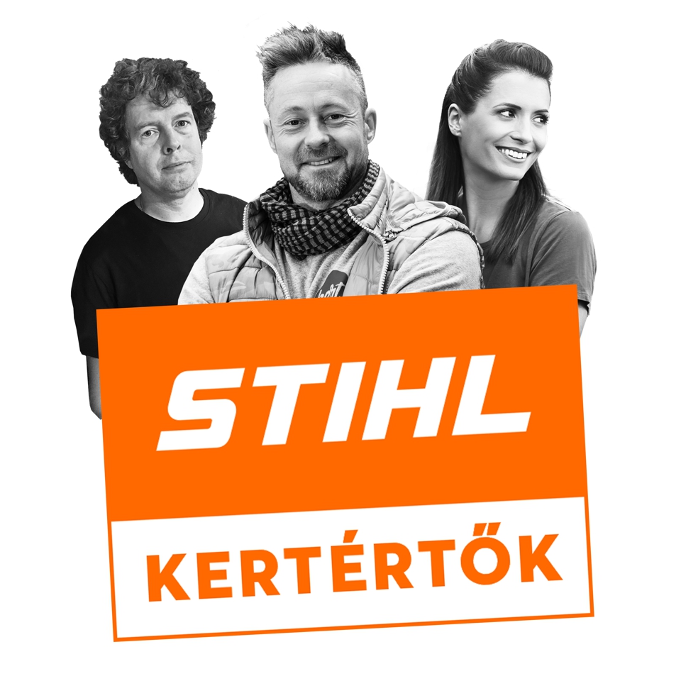 ST_Podcast_Kertertok.png