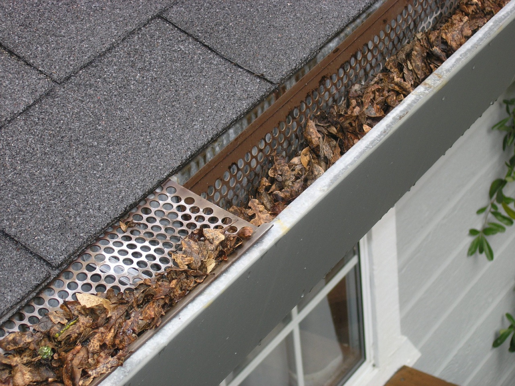 gutter-guard-ipswich-2434467_1280.jpg