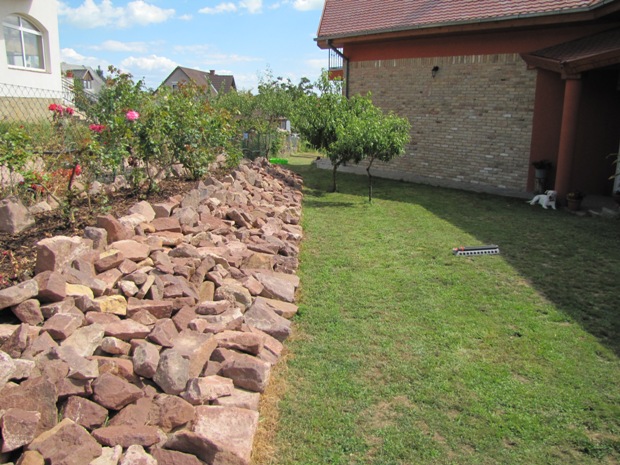 1346.w.jpg