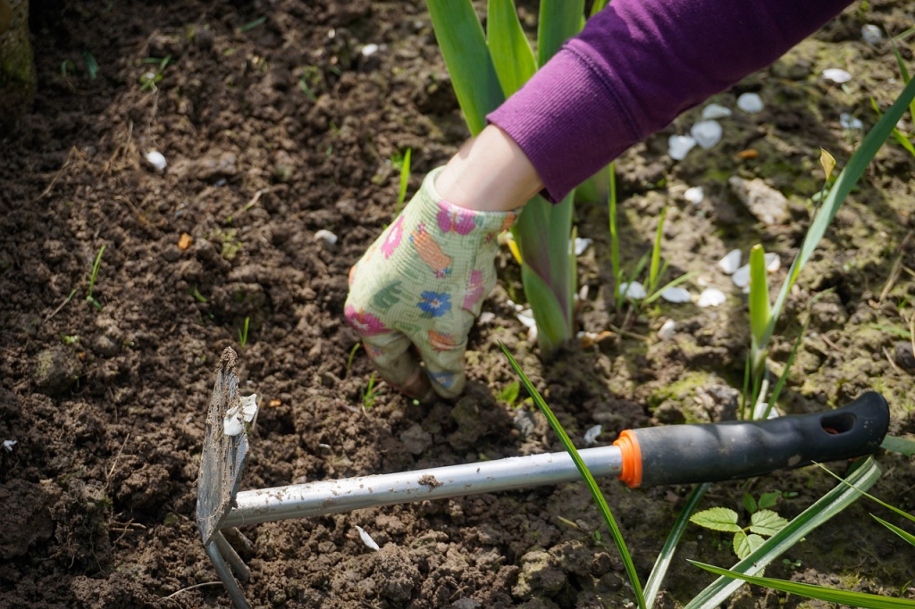 work-in-the-garden-2432111_1280.jpg