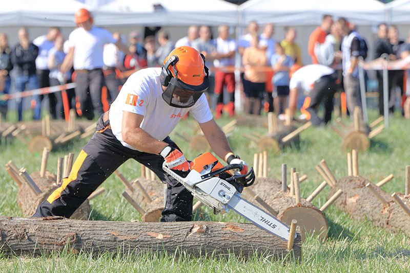 stihl3.jpg