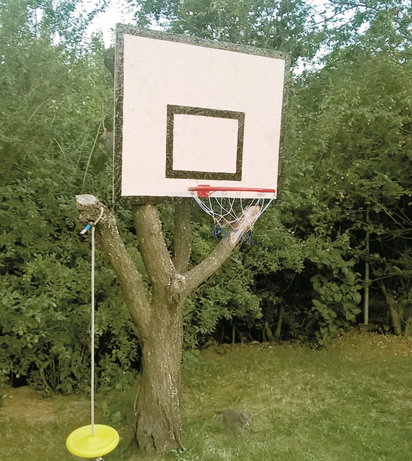 kosar_foci2.jpg