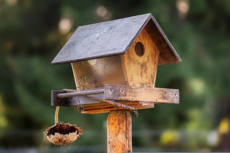 4_pixabay_bird-house-4573961.jpg