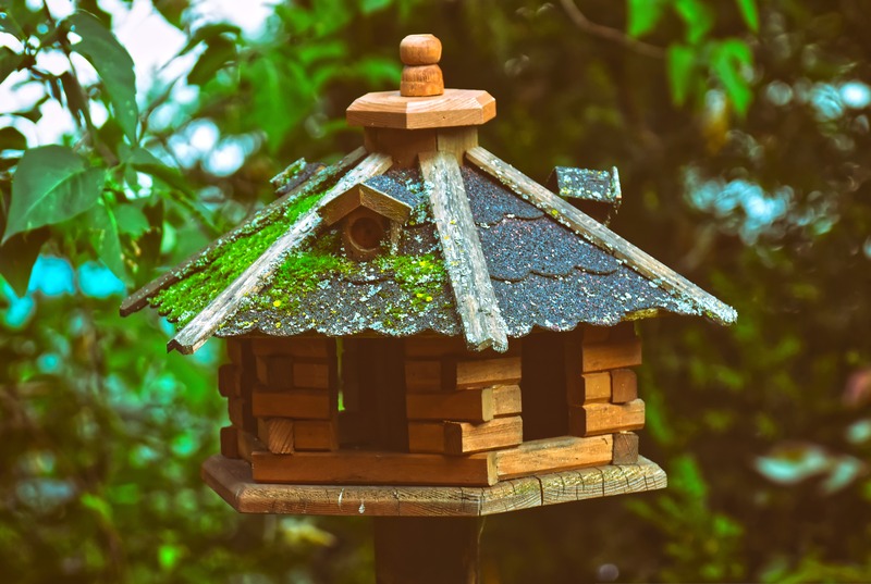 0_ind_pixabay_bird-house-4323223.jpg