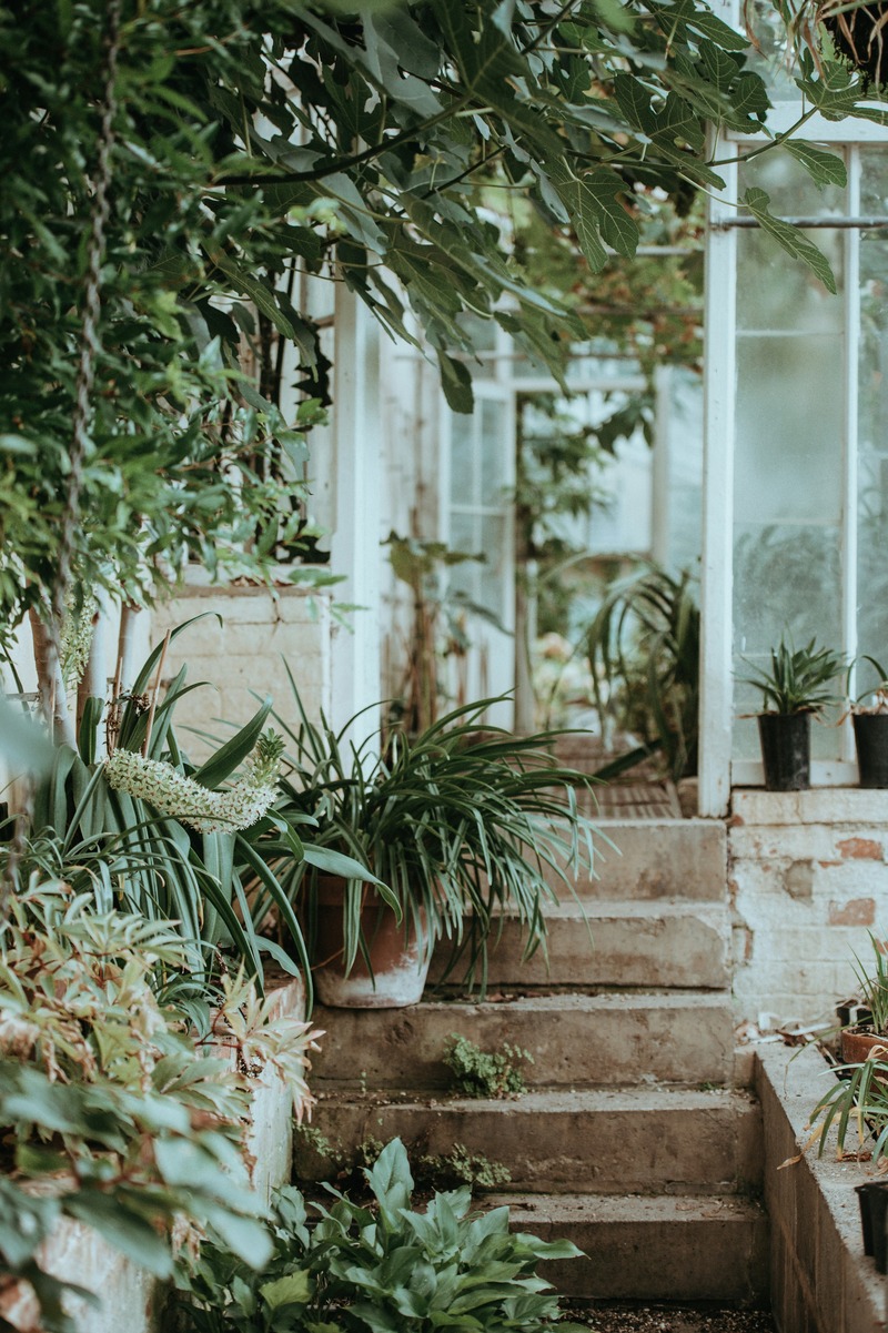 12_unsplash_annie-spratt-GTb-OGk4HV4-unsplash.jpg