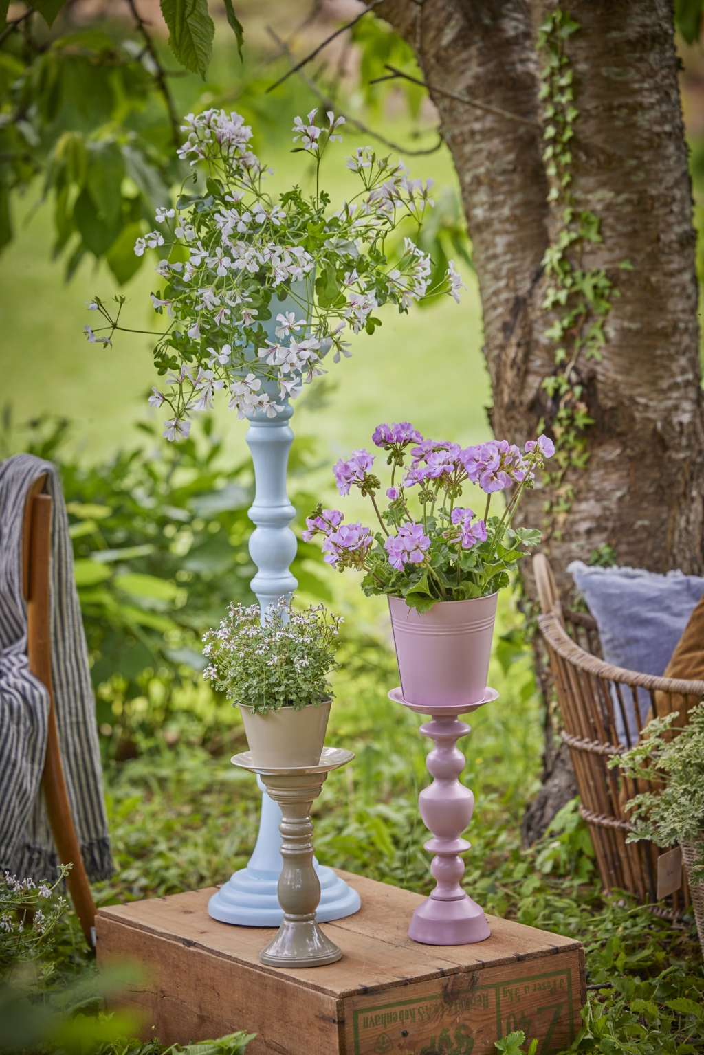 vegere_a_2025_Geraniums_3000_Serene_Garden_Getaway_37.jpg