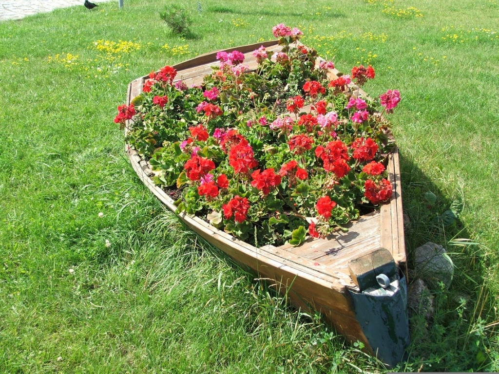 5_pixabay_flowerbed-2660244.jpg