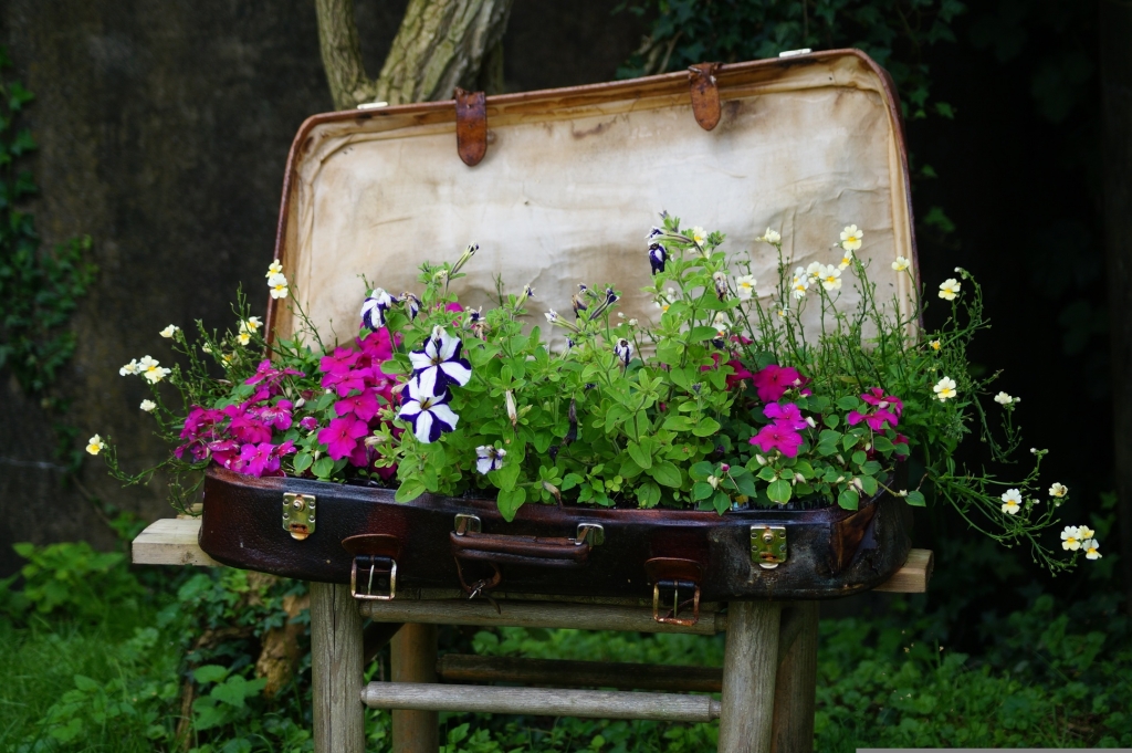 6_pixabay_suitcase-1562932.jpg