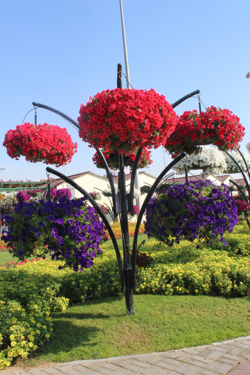 9_pxhere_tree-blossom-plant-flower-autumn-botany-890321-pxhere.com.jpg