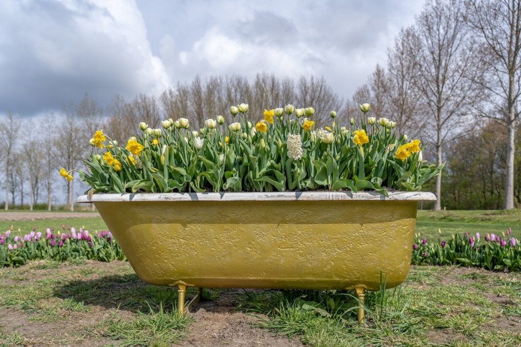 1_freepik_amazing-view-old-bathtub-filled-with-beautiful-flowers-field.jpg
