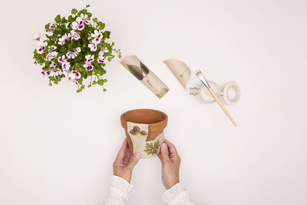 5_2026_Geraniums_2010_DIY_Wallpaper_Flower_Pot_05.jpg