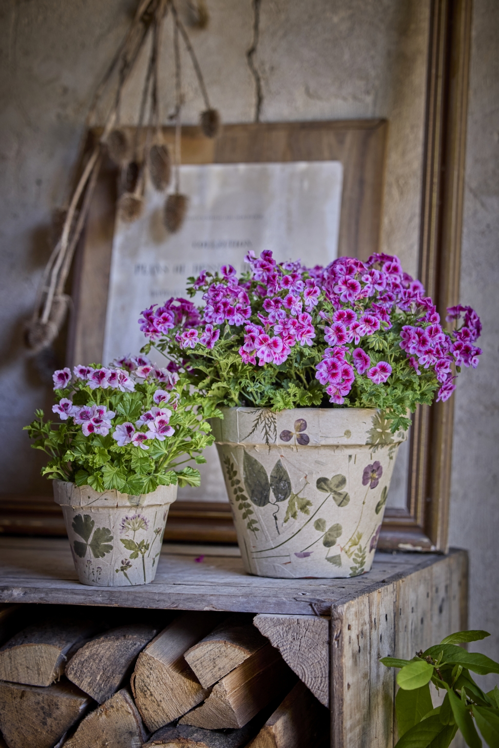 0_ind_2026_Geraniums_2010_DIY_Wallpaper_Flower_Pot_07.jpg