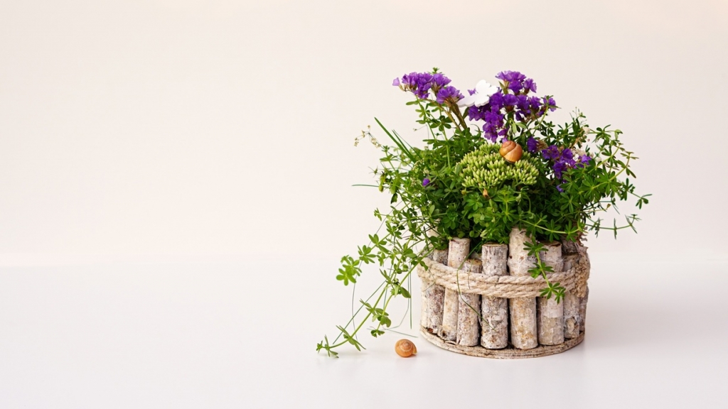 1_pixabay_katzenfee50-flower-arrangement-4424528.jpg