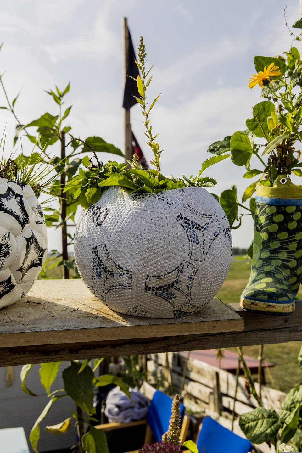3_markusspiske-urban-gardening-1679949.jpg