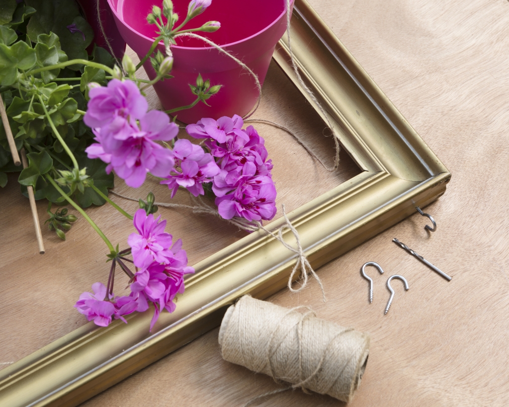 keret_1_2019_Geraniums_900_DIYS_Suspension_Frame_001.jpg