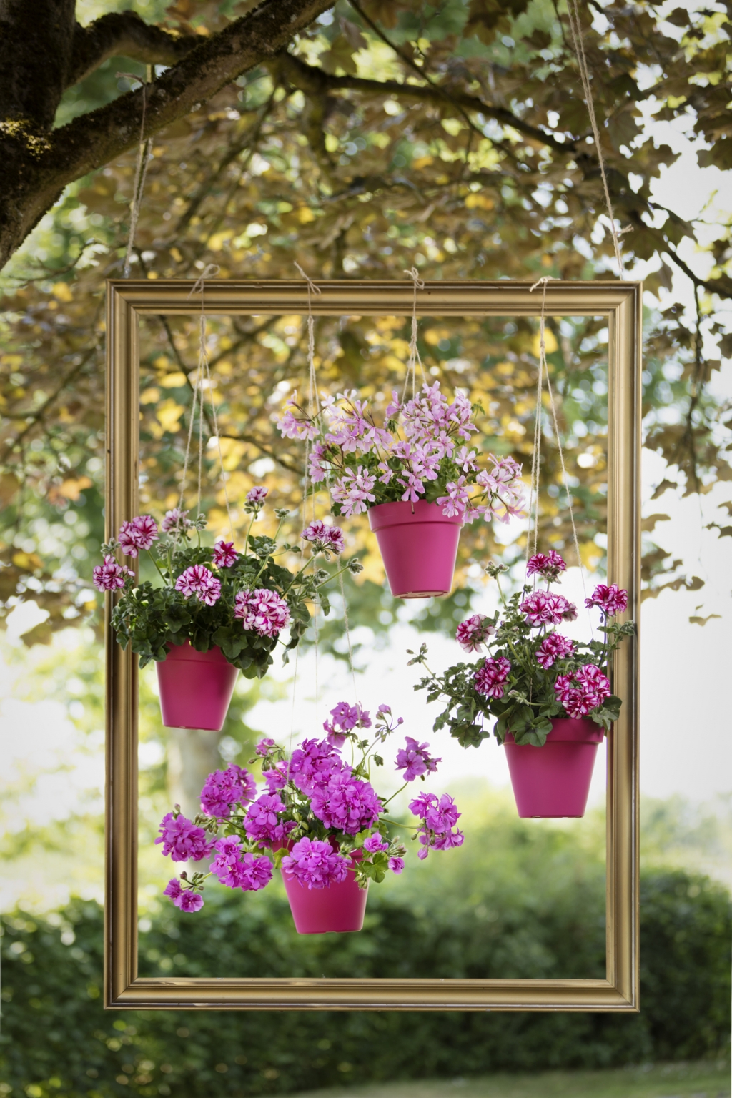 keret_ind_2019_Geraniums_900_DIYS_Suspension_Frame_002.jpg