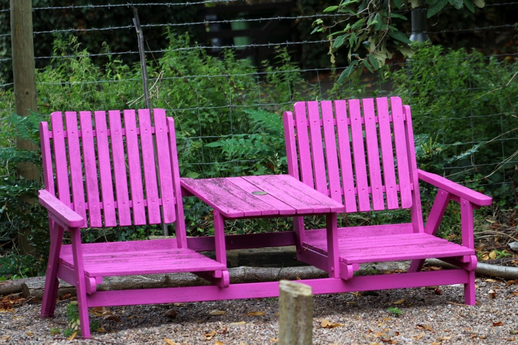 2_pixabay_artyangel-seat-2786561.jpg