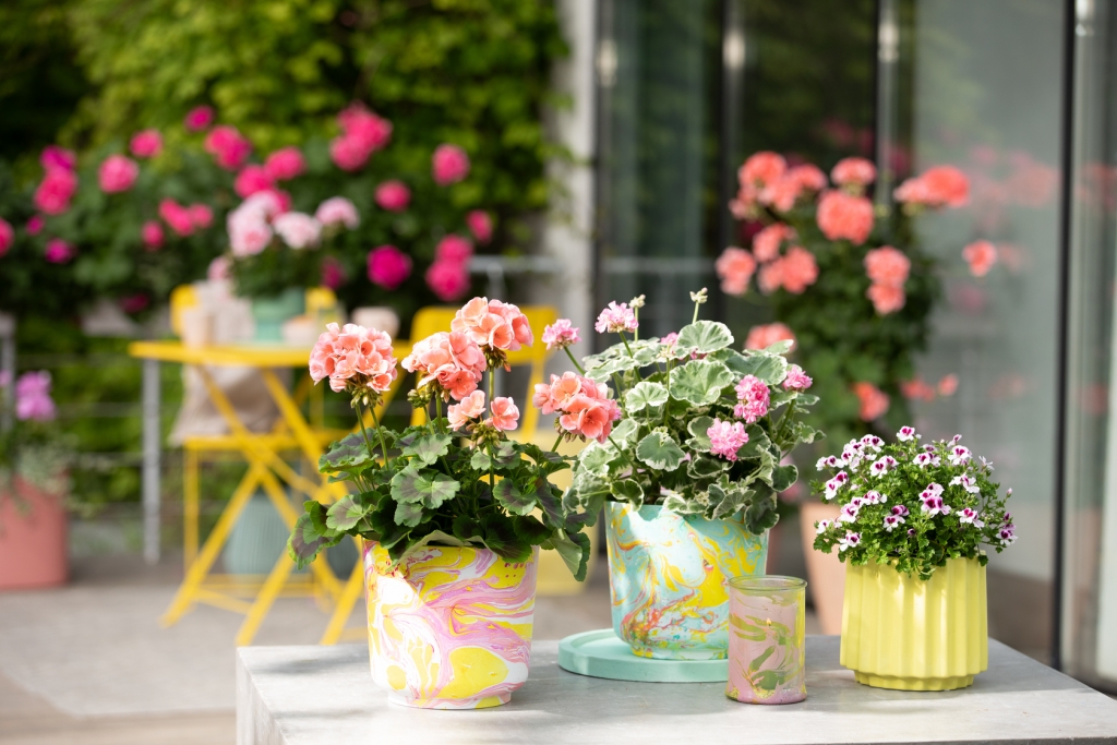 0_ind_2026_Geraniums_4010_DIY_Marbled_Flower_Pot_01.jpg