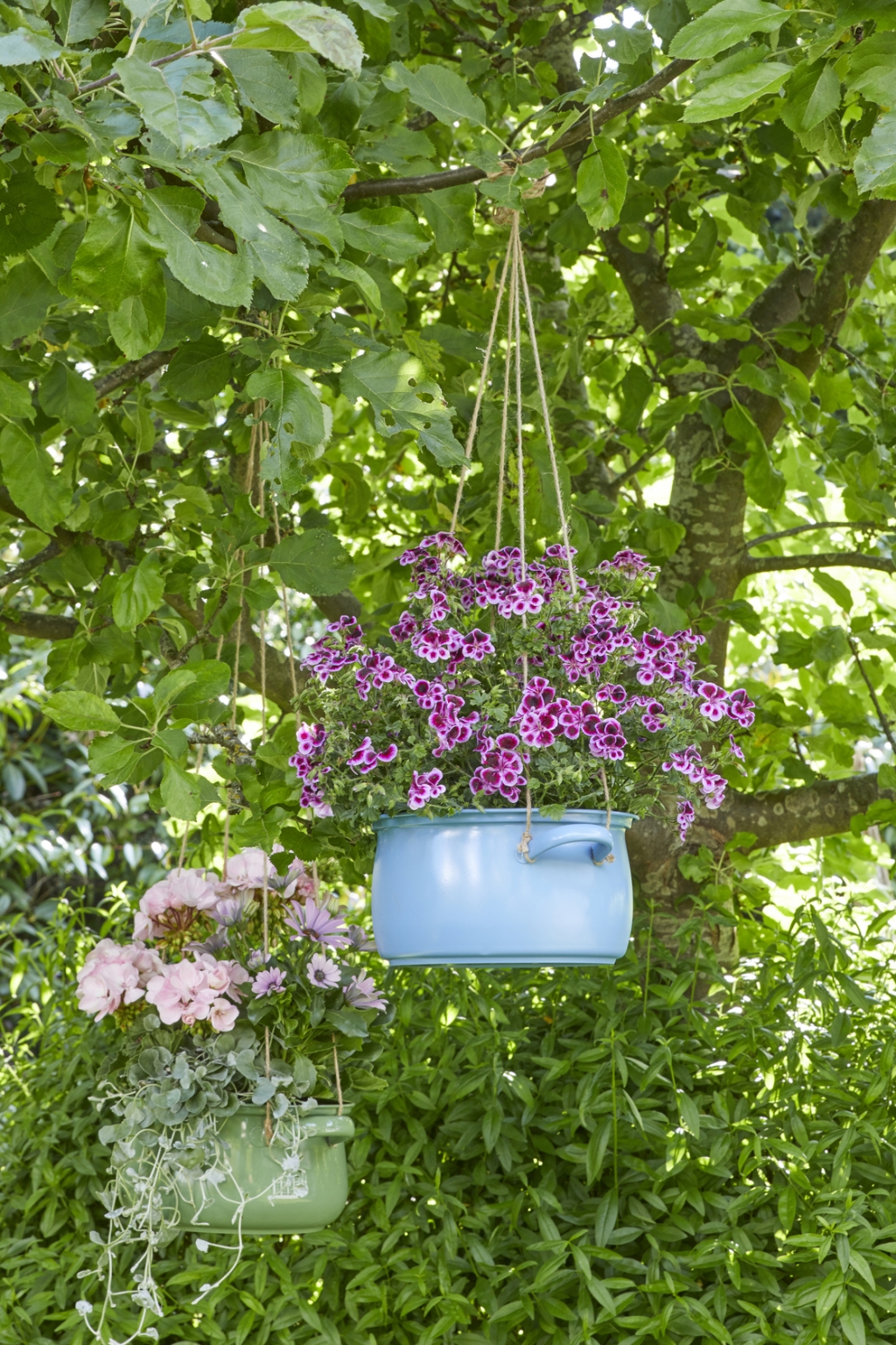 keret_1_2021_Geraniums_3010_DIY_Blooming_Casserole_Hangers_02.jpg