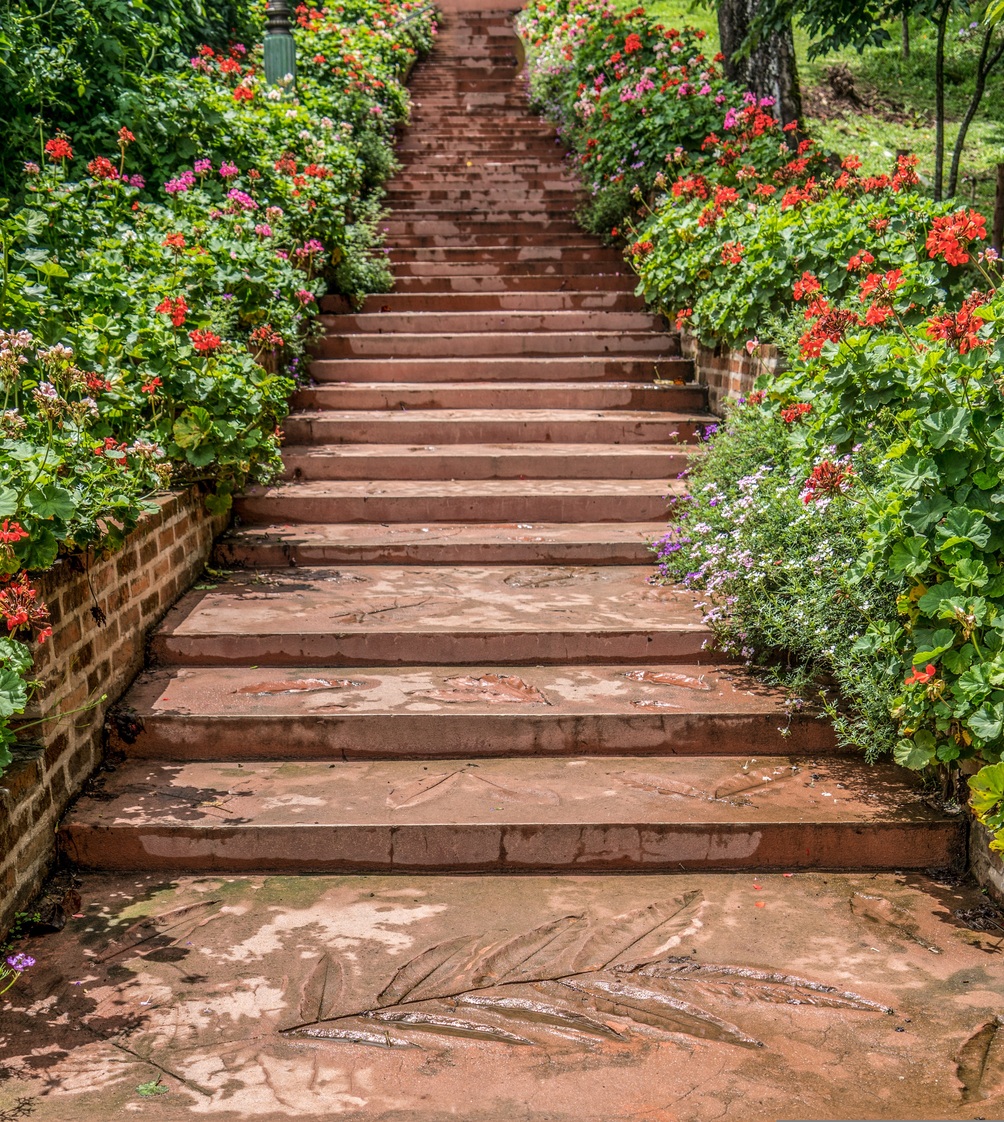 6_pixabay_michelle-maria-steps-3747068.jpg