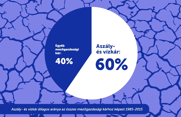 Kertünk legnagyobb ellensége az aszály