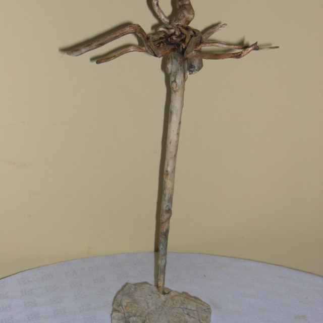 Nyakláncrendszerező