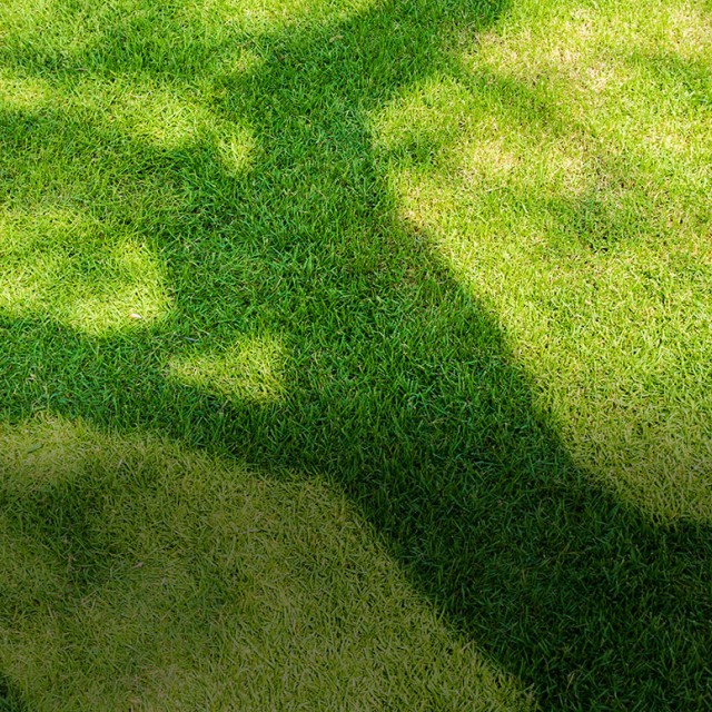 Gyepesítés locsolótömlővel
