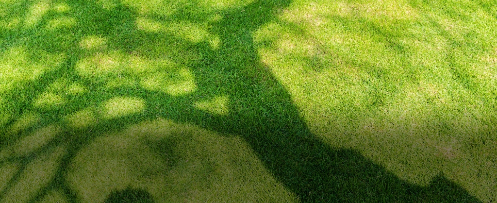 Gyepesítés locsolótömlővel