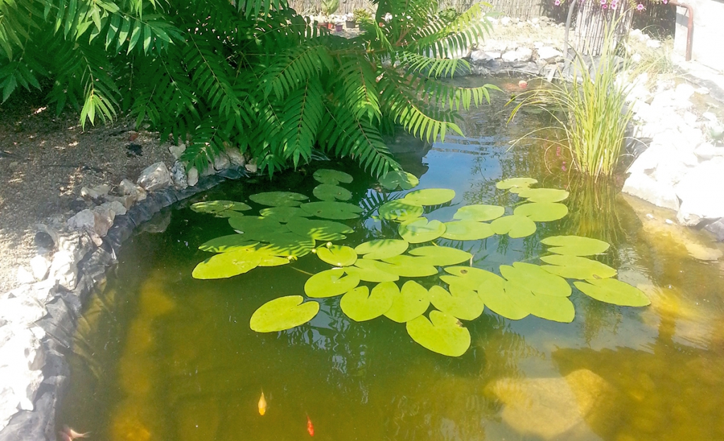 Öt mutatós kerti tó: nézd meg, hogyan építették őket