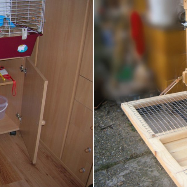Három barkácsötlet nyuszigazdiknak
