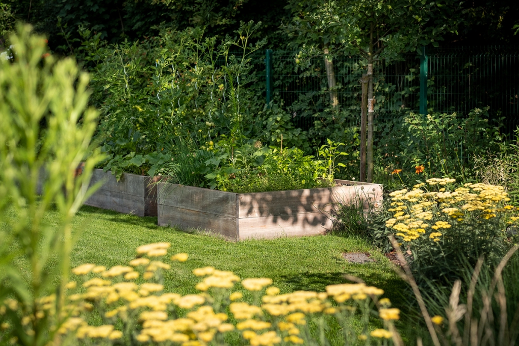 Termessz saját fűszernövényeket és zöldségeket a kertedben