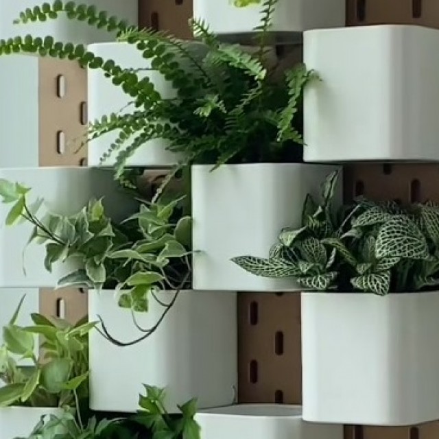 IKEA hack: varázsolj zöldfalat otthonodba