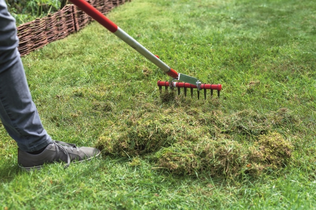 Így kell ápolni ősszel a gyepet: 7 feladat, amit mindenképpen el kell végezni ilyenkor