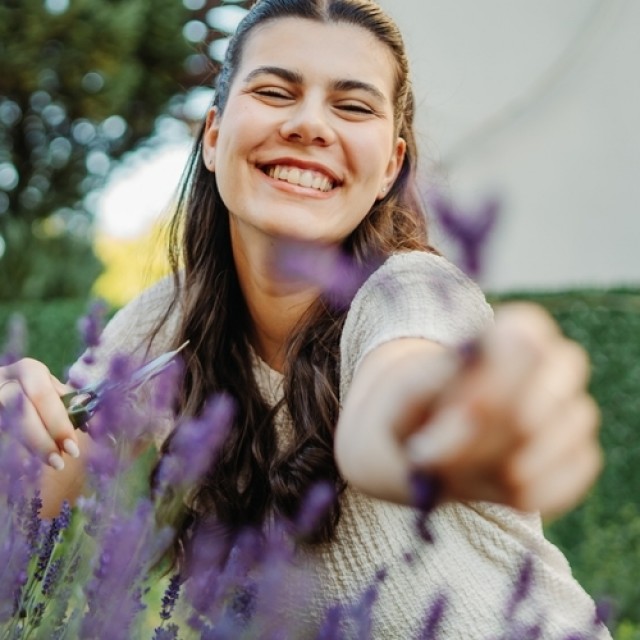 Levendula tápoldat házilag a pazar virágzásért: gyorsan készül, filléres összetevőkből!