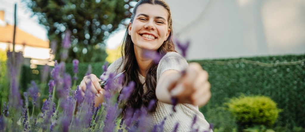 Levendula tápoldat házilag a pazar virágzásért: gyorsan készül, filléres összetevőkből! Levendula tápoldat házilag a pazar virágzásért: gyorsan készül, filléres összetevőkből!