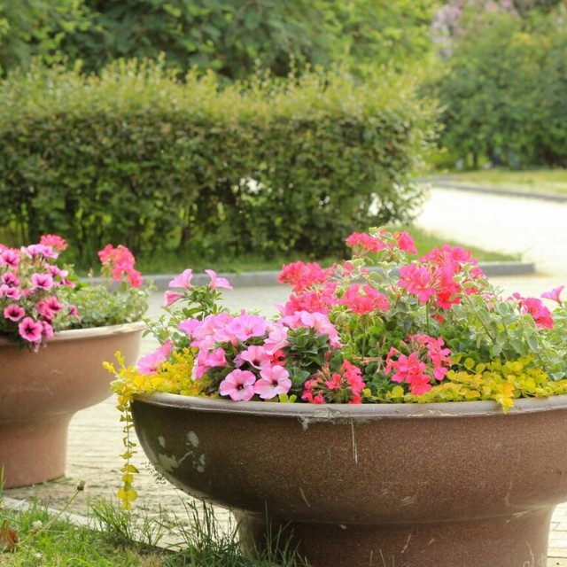 Változatok magaságyásra: izgalmas, különleges ötletek, amikből te is inspirálódhatsz!