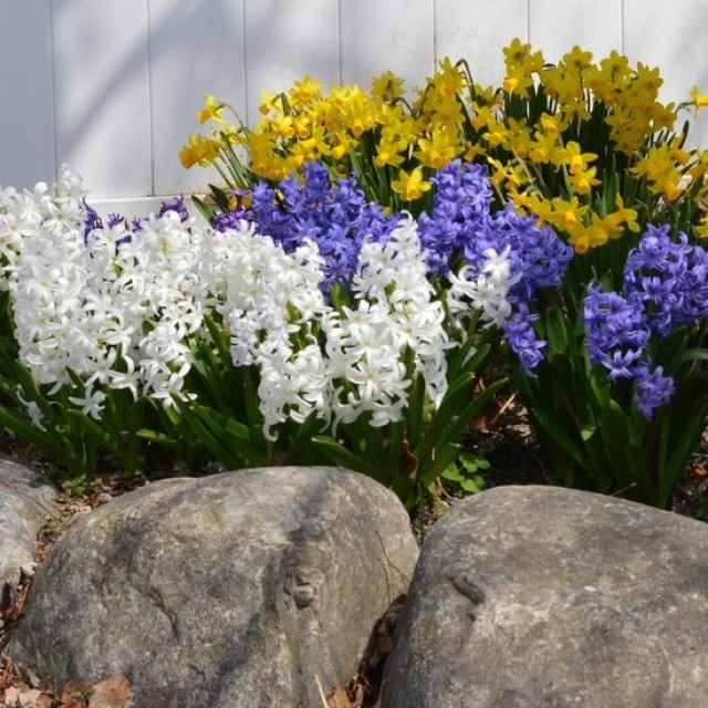 3 nagyszerű ötlet ágyásszegélyre: ezt is meg lehet oldani kreatívan és szépen!