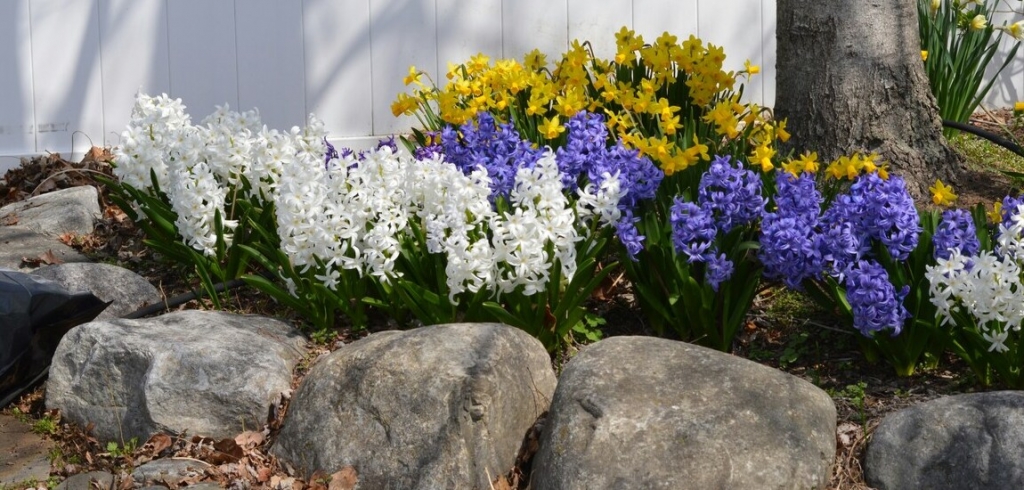 3 nagyszerű ötlet ágyásszegélyre: ezt is meg lehet oldani kreatívan és szépen!