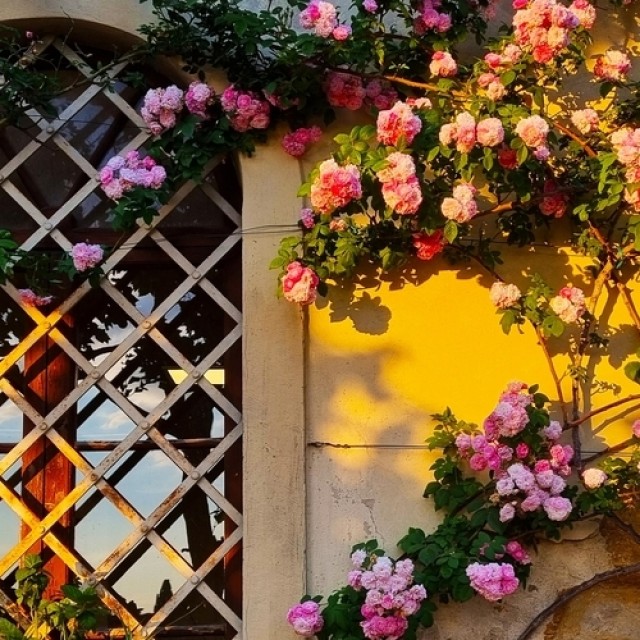 3 ragyogóan szép kültéri falszín, amivel meghosszabbíthatod a nyarat a kertben!