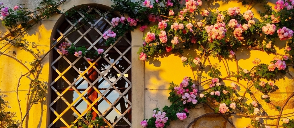 3 ragyogóan szép kültéri falszín, amivel meghosszabbíthatod a nyarat a kertben!