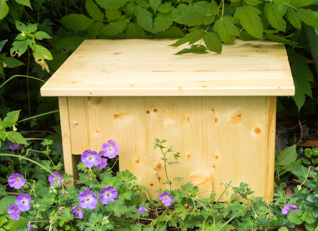 Eljött a sünik ideje: építs nekik bájos kuckót a kertbe, íme 3 ötlet! Eljött a sünik ideje: építs nekik bájos kuckót a kertbe, íme 3 ötlet!