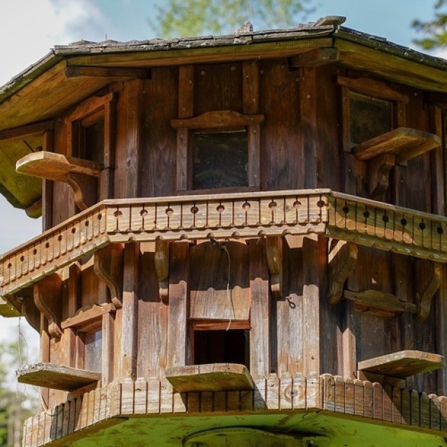 Kreatív rigóvendéglők: ötletek, ha különleges és látványos madáretetőt készítenél