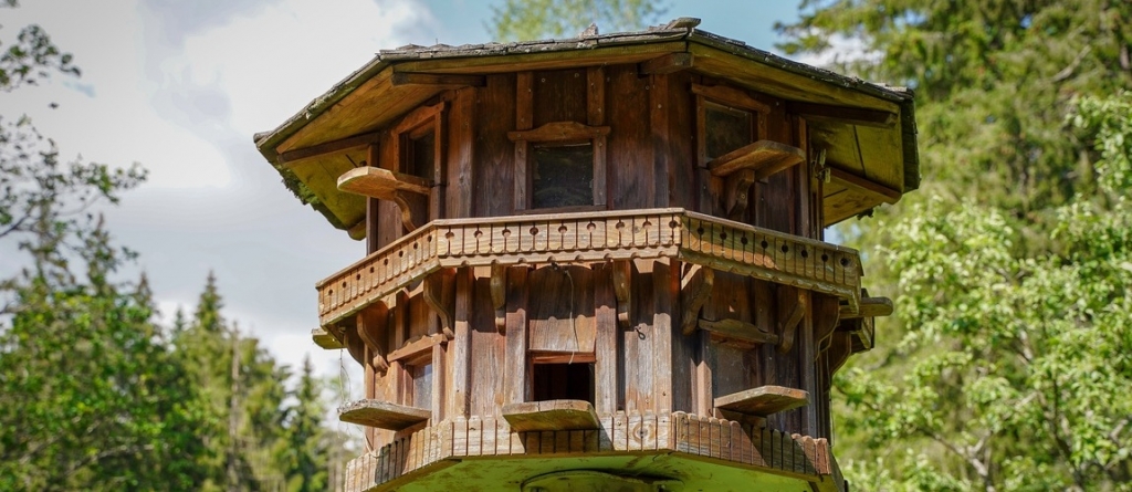 Kreatív rigóvendéglők: ötletek, ha különleges és látványos madáretetőt készítenél