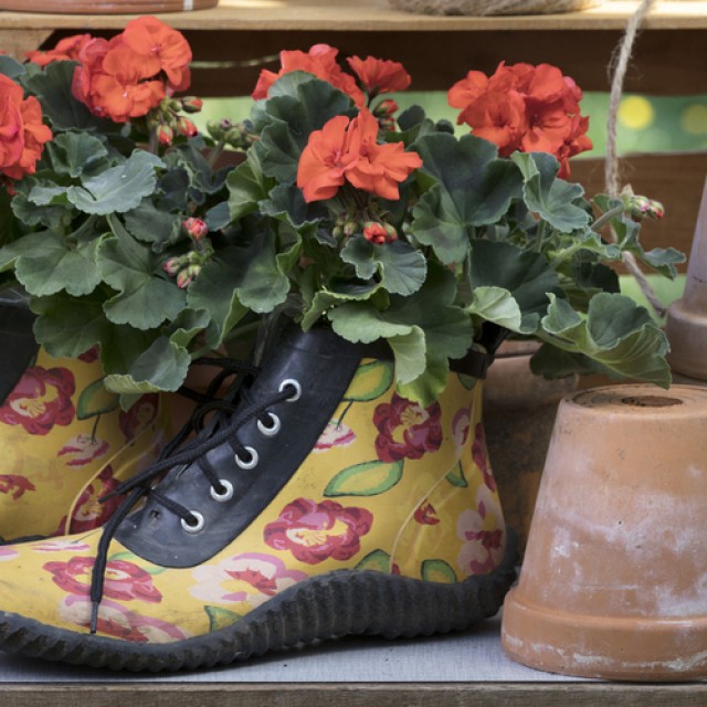 Nem mindennapi virágtartók: inspirálódj velünk, ha igazán egyedi megoldást keresel!