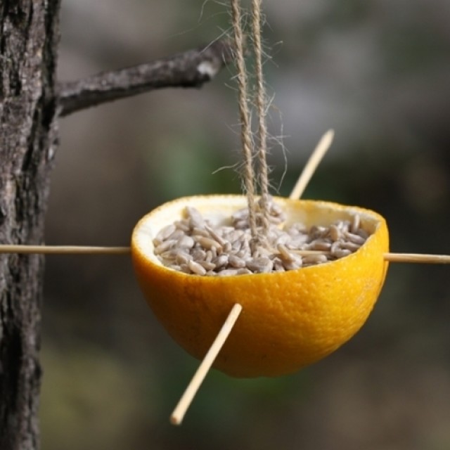 Ötperces madáretető készítése: 4 szuper ötletet mutatunk, amikből inspirálódhatsz!