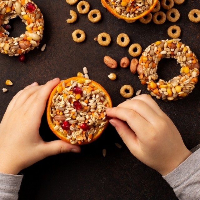 Madáretető készítése: egy szerethető projekt, amibe a gyerekekkel együtt is érdemes belevágni!